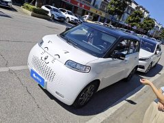 Ora White Cat 2022 Upgrade 305km Luxury Trim Ternary Lithium Battery - ფოტო 1