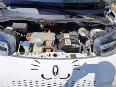 Ora White Cat 2022 Upgrade 305km Luxury Trim Ternary Lithium Battery - ფოტო 10