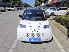 Ora White Cat 2022 Upgrade 305km Luxury Trim Ternary Lithium Battery - ფოტო 2