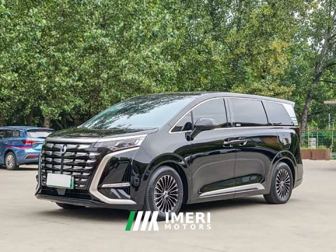 2025 Denza D9 DM-i 980 AWD Luxury