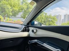 BYD Yuan Plus 430KM Luxury - ფოტო 10