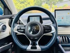 BYD Yuan Plus 430KM Luxury - ფოტო 8