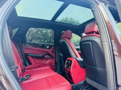 Porsche 2019 Cayenne 3.0T - ფოტო 13