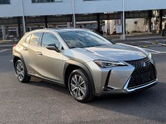 Lexus UX New Energy 2020 300e Pure Enjoyment Edition - ფოტო 3