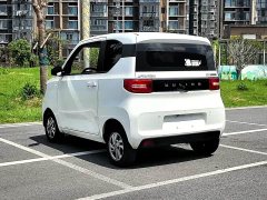 Wuling Hongguang MINIEV 2020 Deluxe Edition LFP Battery - ფოტო 11