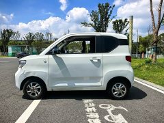 Wuling Hongguang MINIEV 2020 Deluxe Edition LFP Battery - ფოტო 12