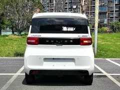 Wuling Hongguang MINIEV 2020 Deluxe Edition LFP Battery - ფოტო 13