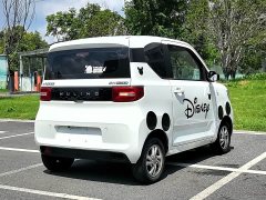 Wuling Hongguang MINIEV 2020 Deluxe Edition LFP Battery - ფოტო 14