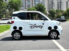 Wuling Hongguang MINIEV 2020 Deluxe Edition LFP Battery - ფოტო 15