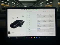 Tesla Model 3 Facelift Standard Range RWD Upgrade 3D1 - ფოტო 10