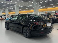 Tesla Model 3 Facelift Standard Range RWD Upgrade 3D1 - ფოტო 4
