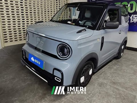 2024 Geely Panda 200km Panda Kart - ავტომობილი ჩინეთიდან