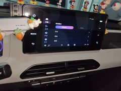 Geely Panda 200km Panda Kart - ფოტო 13