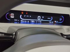Geely Panda 200km Panda Kart - ფოტო 14