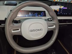 Geely Panda 200km Panda Kart - ფოტო 15