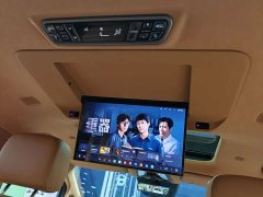Great Wall WEY Shanshan New Energy Four-Wheel Drive Shanshan 8 - ფოტო 20