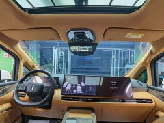 Great Wall WEY Shanshan New Energy Four-Wheel Drive Shanshan 8 - ფოტო 7