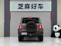 Tank 300 Off-Road Edition 2.0T Conqueror - ფოტო 5