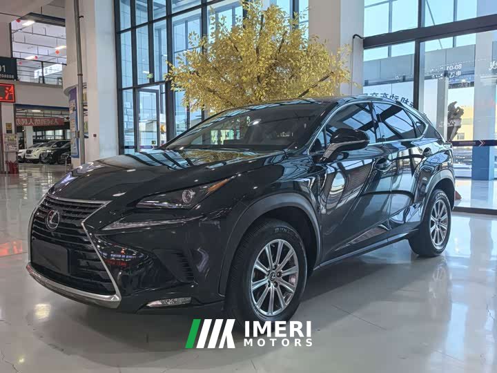 Lexus NX 2020 200 FWD Sharp Edition National VI - ავტომობილი ჩინეთიდან
