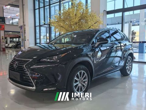 2021 Lexus NX 2020 200 FWD Sharp Edition National VI - ავტომობილი ჩინეთიდან