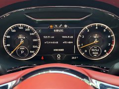 Bentley Continental 4.0T GT V8 Convertible - ფოტო 13