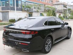 Geely Xingui Xingrui 2.0T Diesel Luxury - photo 5