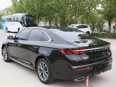 Geely Xingui Xingrui 2.0T Diesel Luxury - photo 6