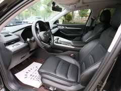 Geely Xingui Xingrui 2.0T Diesel Luxury - photo 8