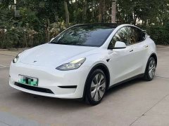 Tesla Model Y 2022 Rear-Wheel Drive - ფოტო 1