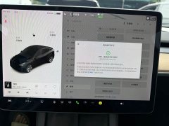 Tesla Model Y Standard Range RWD - ფოტო 16