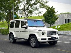 Mercedes-Benz G-Class 2022 G 350 - ფოტო 3