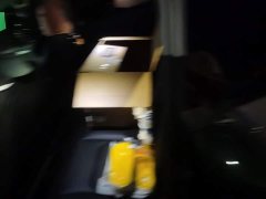 Tesla Model Y Rear-Wheel Drive - ფოტო 11