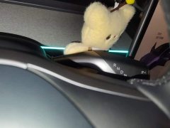 Tesla Model Y Rear-Wheel Drive - ფოტო 16