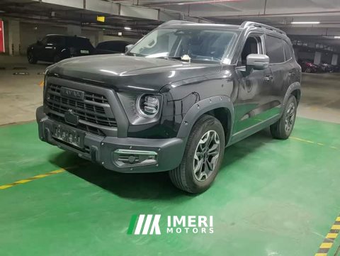 2024 Great Wall Dachshund 2.0T DCT Chinese Rural Dog Edition - ავტომობილი ჩინეთიდან