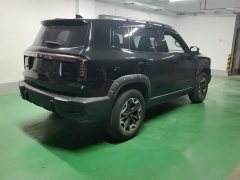 Great Wall Dachshund 2.0T DCT Chinese Rural Dog Edition - ფოტო 3