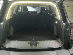 Great Wall Dachshund 2.0T DCT Chinese Rural Dog Edition - ფოტო 4