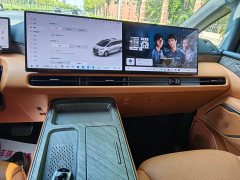 Great Wall WEY Shanshan New Energy Four-Wheel Drive Shanshan 8 - ფოტო 14