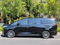 Great Wall WEY Shanshan New Energy Four-Wheel Drive Shanshan 8 - ფოტო 6
