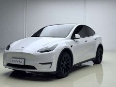 Tesla Model Y Long Range All-Wheel Drive - ფოტო 1
