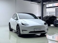 Tesla Model Y Long Range All-Wheel Drive - ფოტო 10