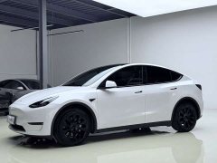 Tesla Model Y Long Range All-Wheel Drive - ფოტო 2
