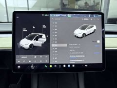 Tesla Model Y Long Range All-Wheel Drive - ფოტო 20
