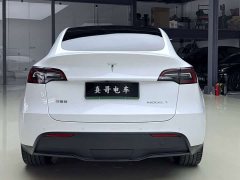 Tesla Model Y Long Range All-Wheel Drive - ფოტო 5