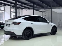 Tesla Model Y Long Range All-Wheel Drive - ფოტო 6