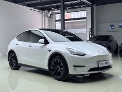 Tesla Model Y Long Range All-Wheel Drive - ფოტო 9