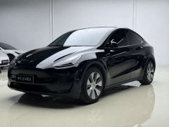 Tesla Model Y Rear-Wheel Drive - ფოტო 1