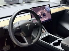 Tesla Model Y Rear-Wheel Drive - ფოტო 10