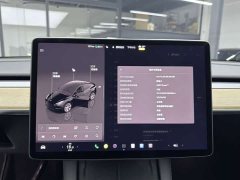 Tesla Model Y Rear-Wheel Drive - ფოტო 15