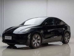 Tesla Model Y Rear-Wheel Drive - ფოტო 1