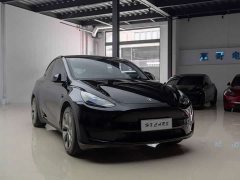 Tesla Model Y Rear-Wheel Drive - ფოტო 10